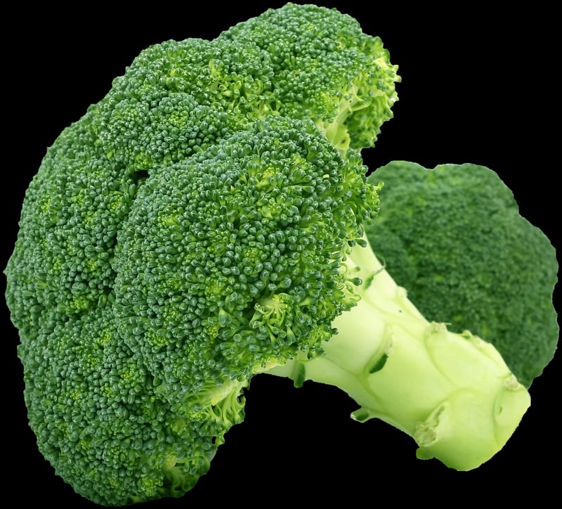 Nutrient-Rich Foods